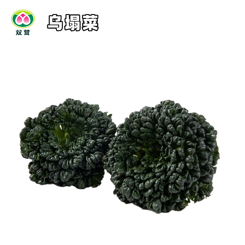 北京双营有机农场乌塌菜250g满59顺丰包邮乌塌菜