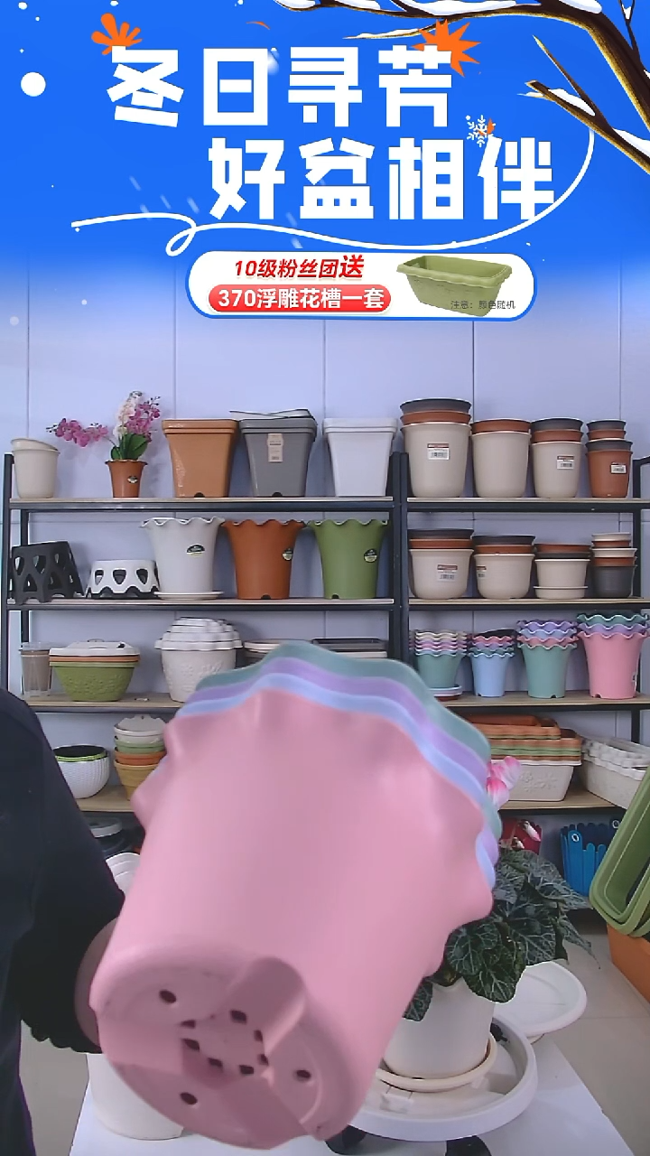 矮款荷叶边2号盆米白11套带托盘