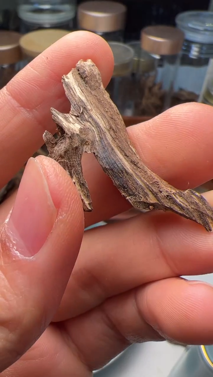 沉香柬埔寨戈公树心油1.3克