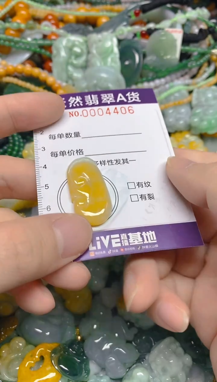 颈饰未镶嵌翡翠0004406