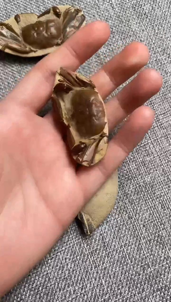 美摆件创意礼物家居配饰新年礼物个人收藏