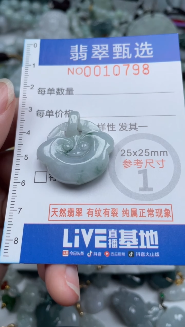 颈饰未镶嵌翡翠10798