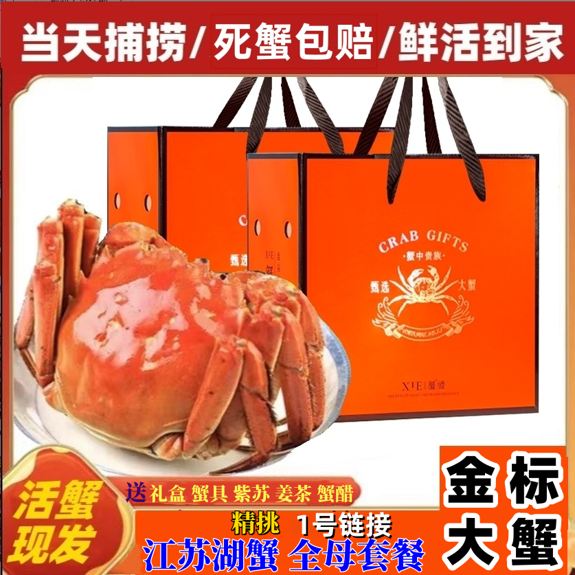 1号链接【活蟹现发】金标全母洪泽湖蟹8只-10只礼盒顺丰（1.8-1.8两）