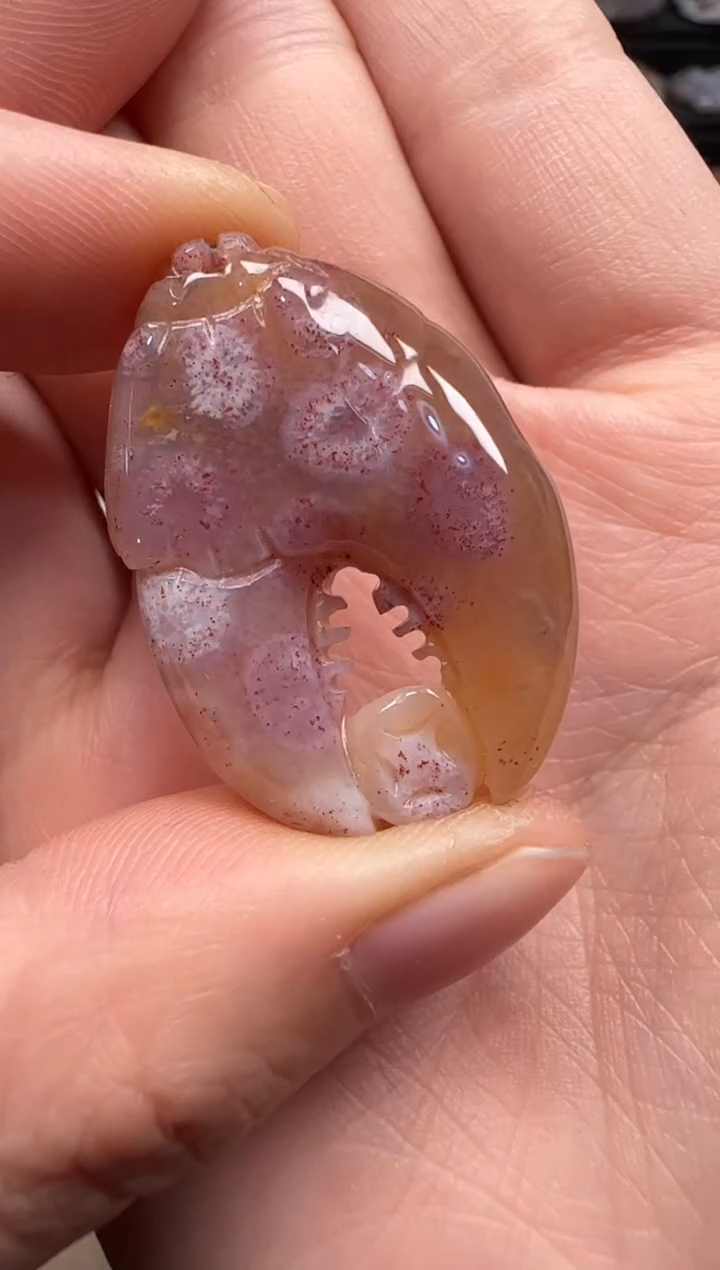 【闪购商品】硅化珊瑚（珊瑚玉）颈饰未镶嵌500