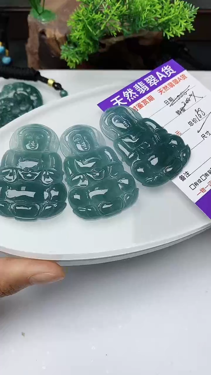 【闪购商品】翡翠颈饰未镶嵌多样性发其一