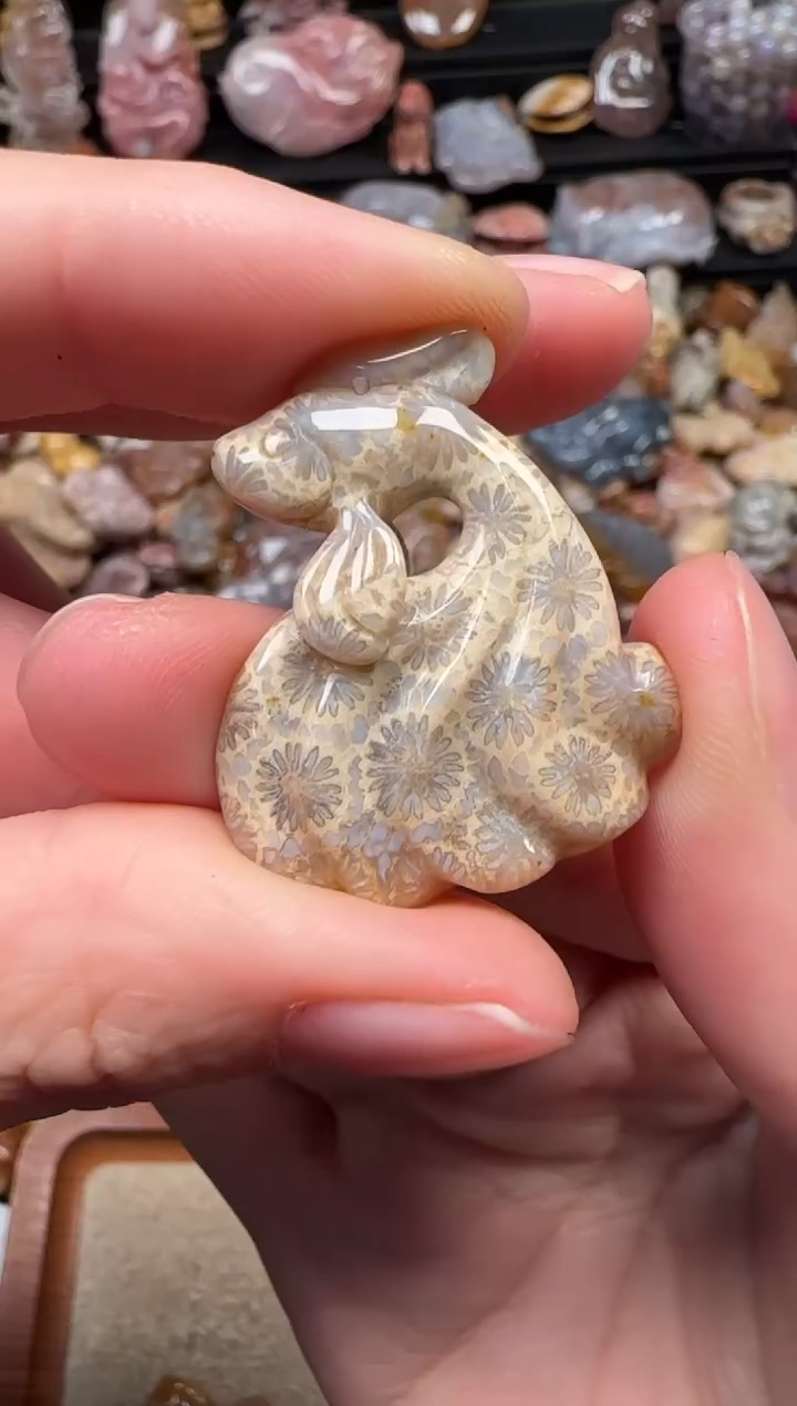 颈饰未镶嵌硅化珊瑚（珊瑚玉）899