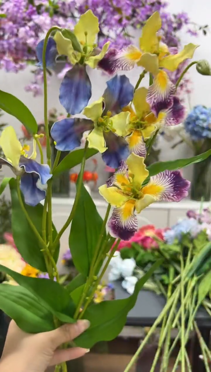 2枝混色鸢尾花花