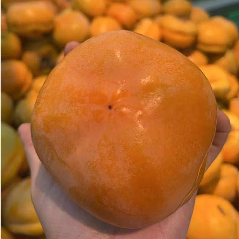 大柿子2斤左右（水果）