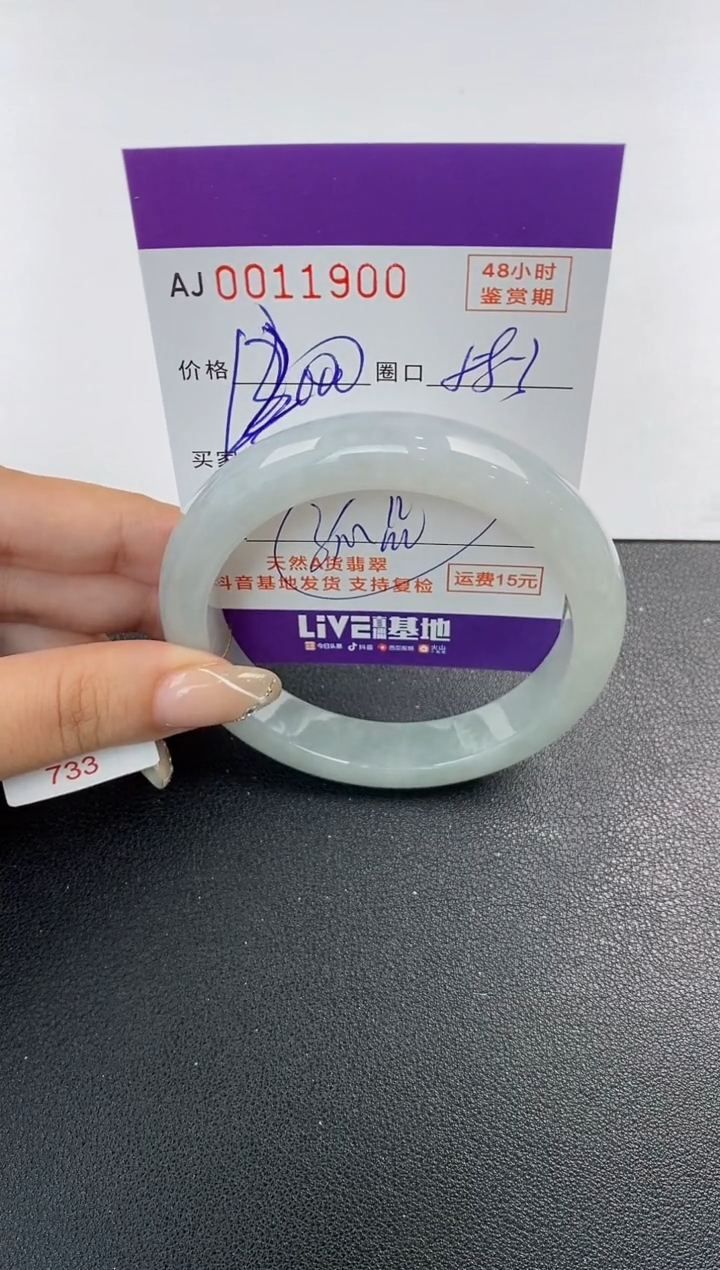 未镶嵌手镯翡翠天然A货翡翠