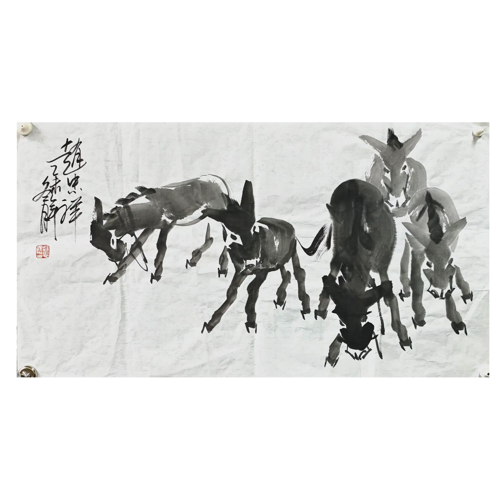 赵忠祥 驴画芯 90×48 3.8平尺