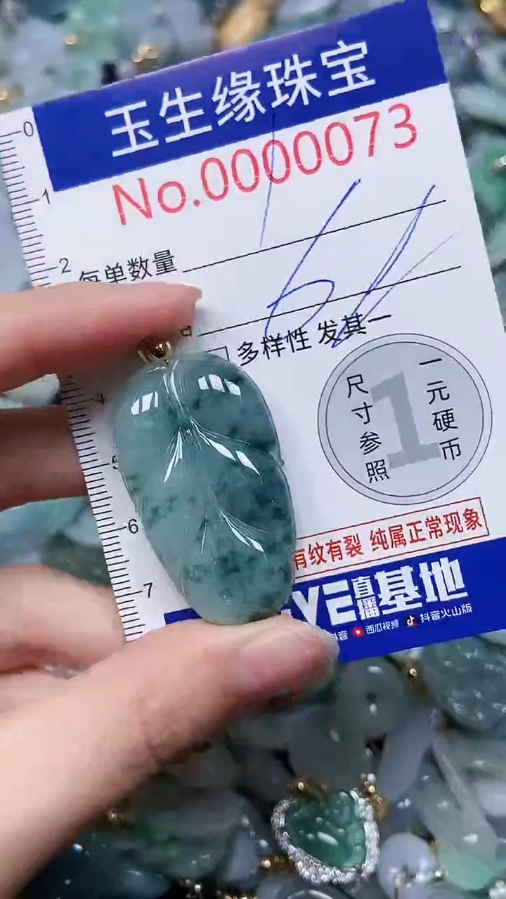 【闪购商品】翡翠颈饰未镶嵌闪购00000073