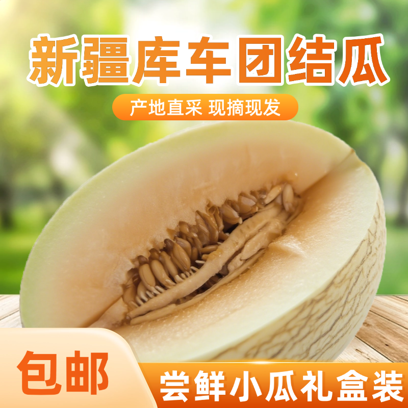 新疆甜瓜哈密瓜甬库振兴瓜团结瓜尝鲜小瓜礼盒装