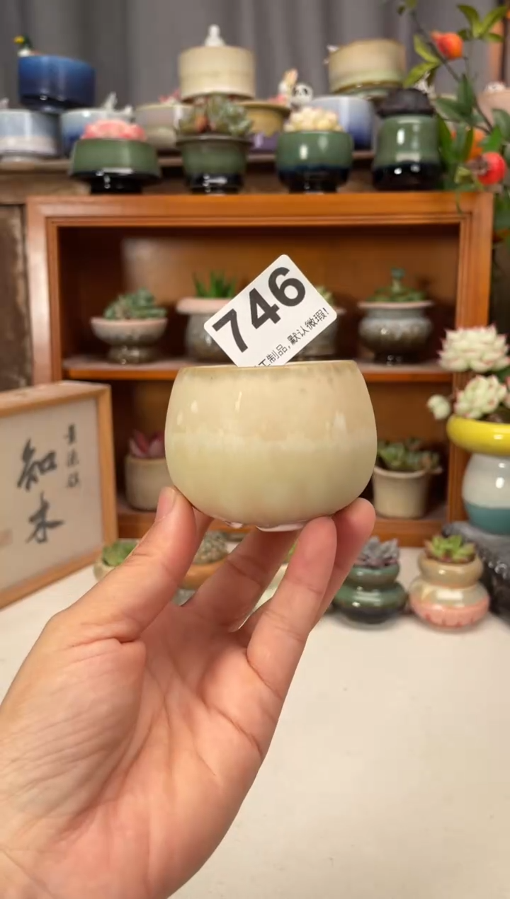 瓷片746知木小芳花盆