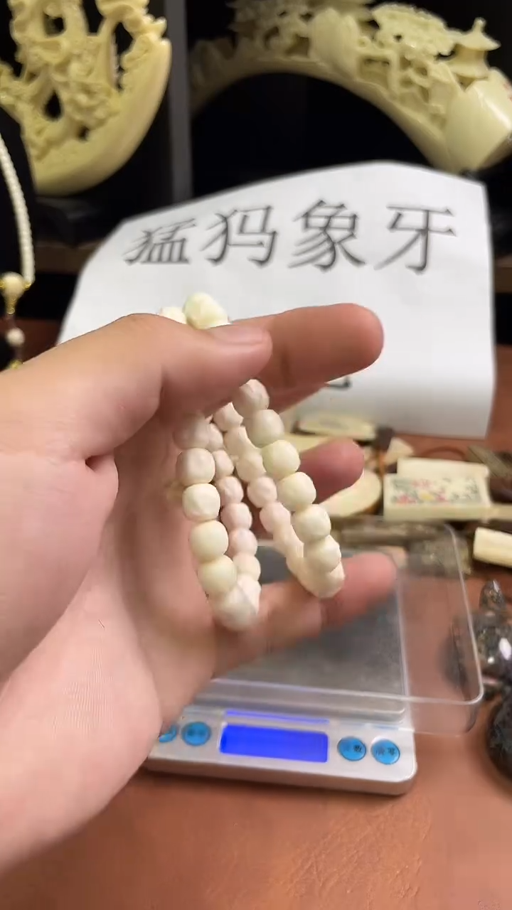 猛犸海胖无相9*8单圈