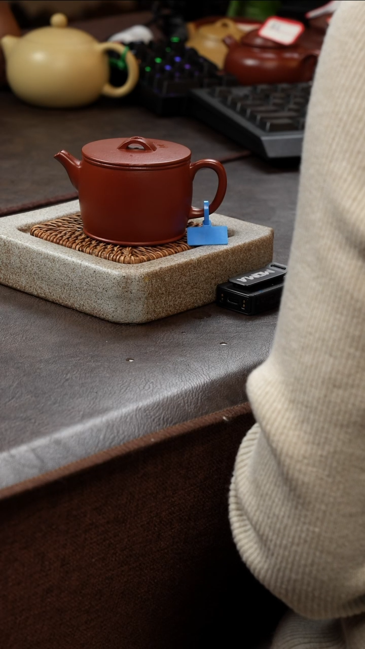 【闪购商品】紫砂茶壶11111111111111