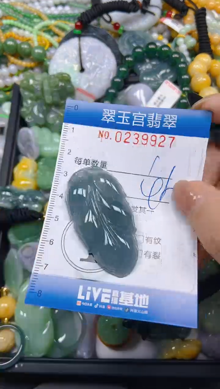 颈饰未镶嵌翡翠闪购C0239927