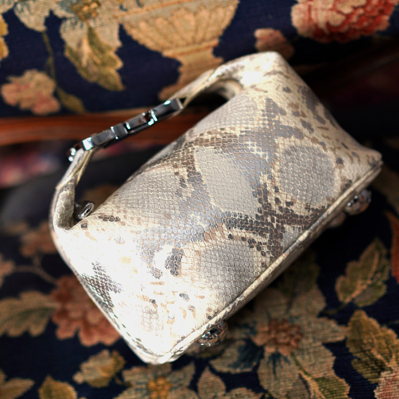 设计师品牌小众手提包链条包两用斜跨包米色蛇纹