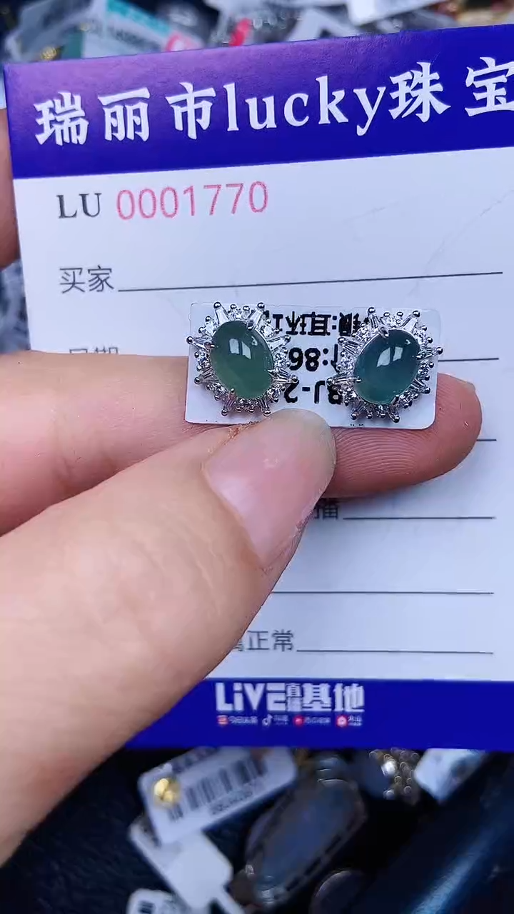 颈饰银S925镶嵌翡翠1770