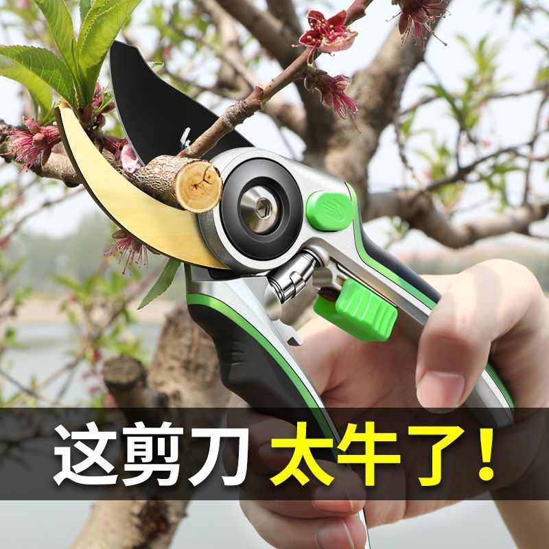 高品质加厚园艺剪刀