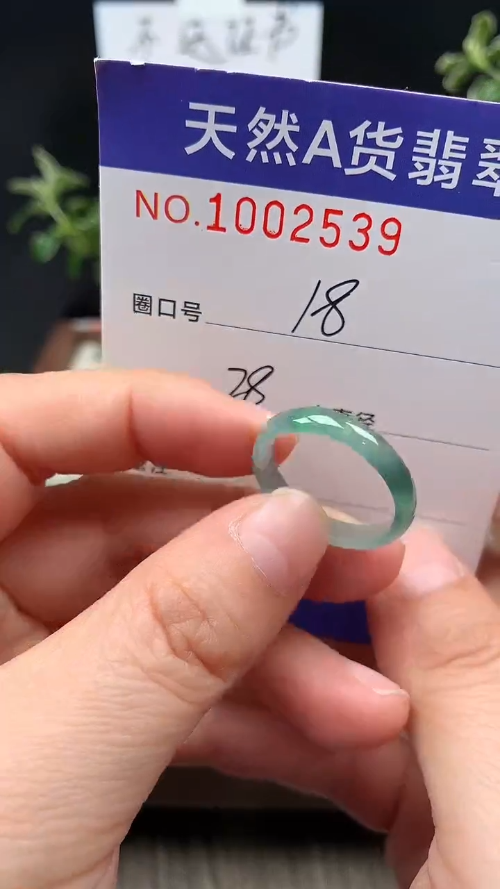 未镶嵌戒指翡翠18#