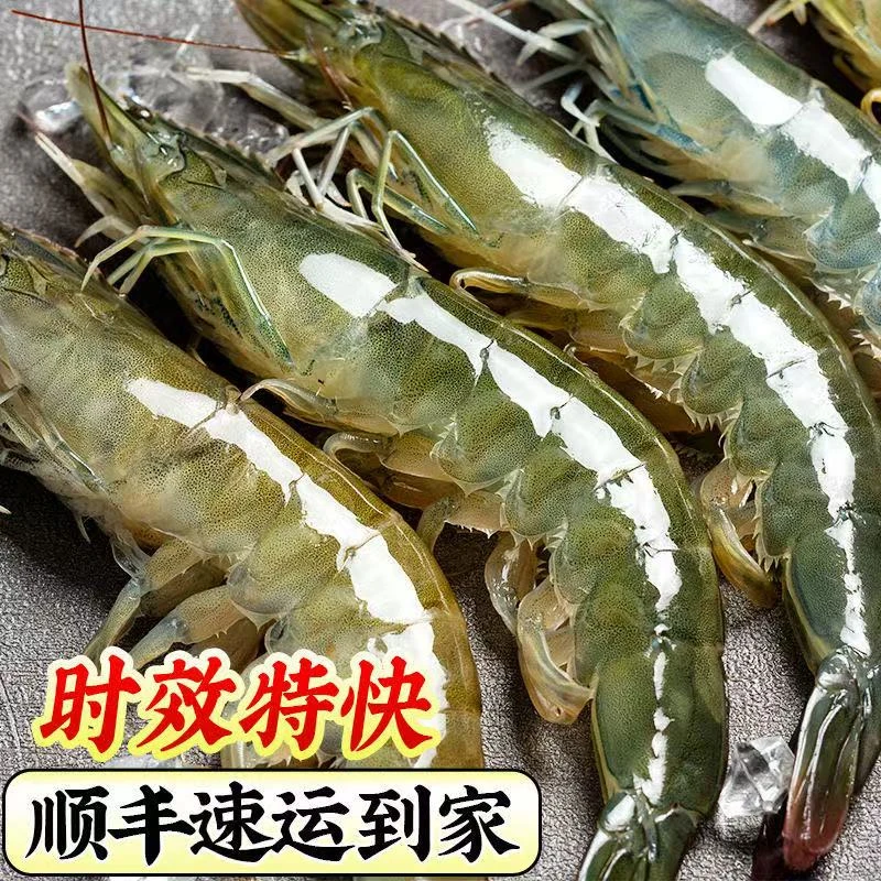 4斤/盒渔船上岸大号大虾单只15~18cm精品海鲜