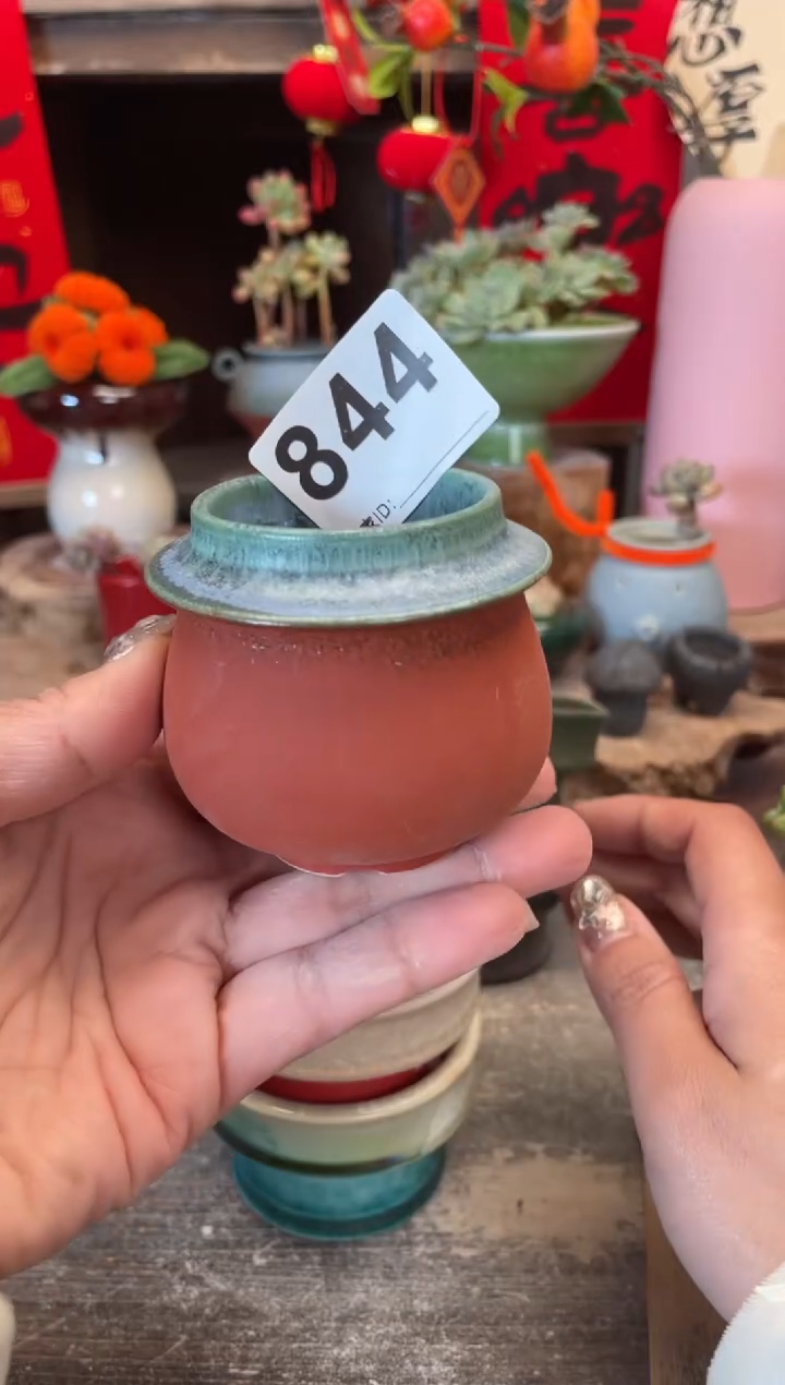【闪购商品】摆件844知木小芳花盆