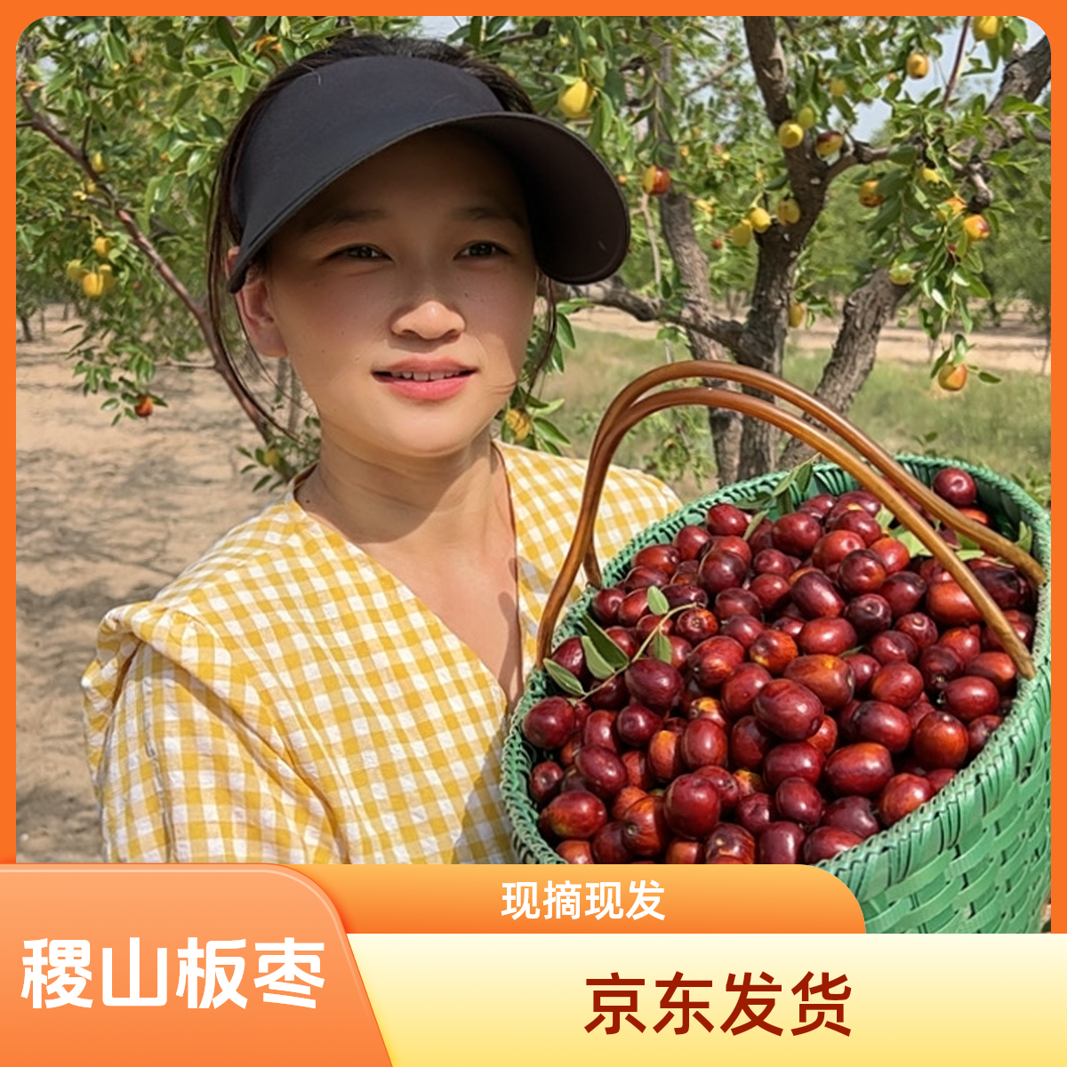 稷山板枣京东包邮水果当季红枣现摘现发干枣泡水煮粥小果