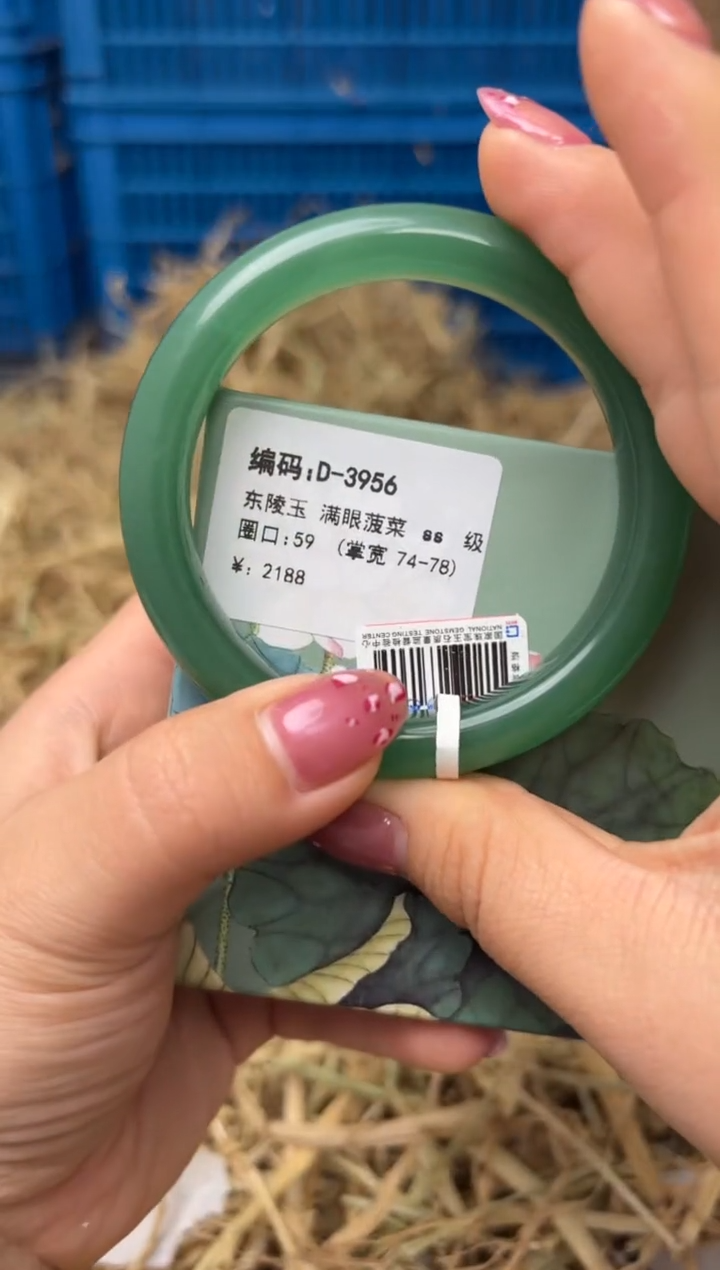 未镶嵌手镯石英质玉D-3956