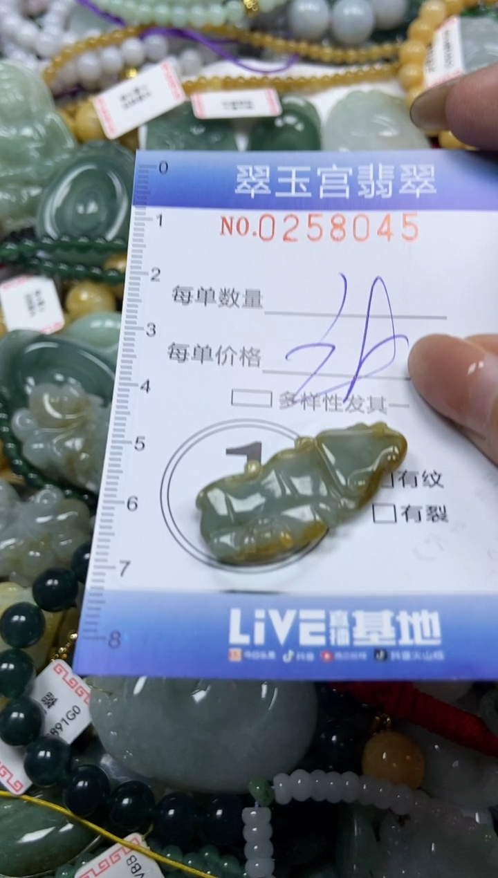 颈饰未镶嵌翡翠闪购C0258045