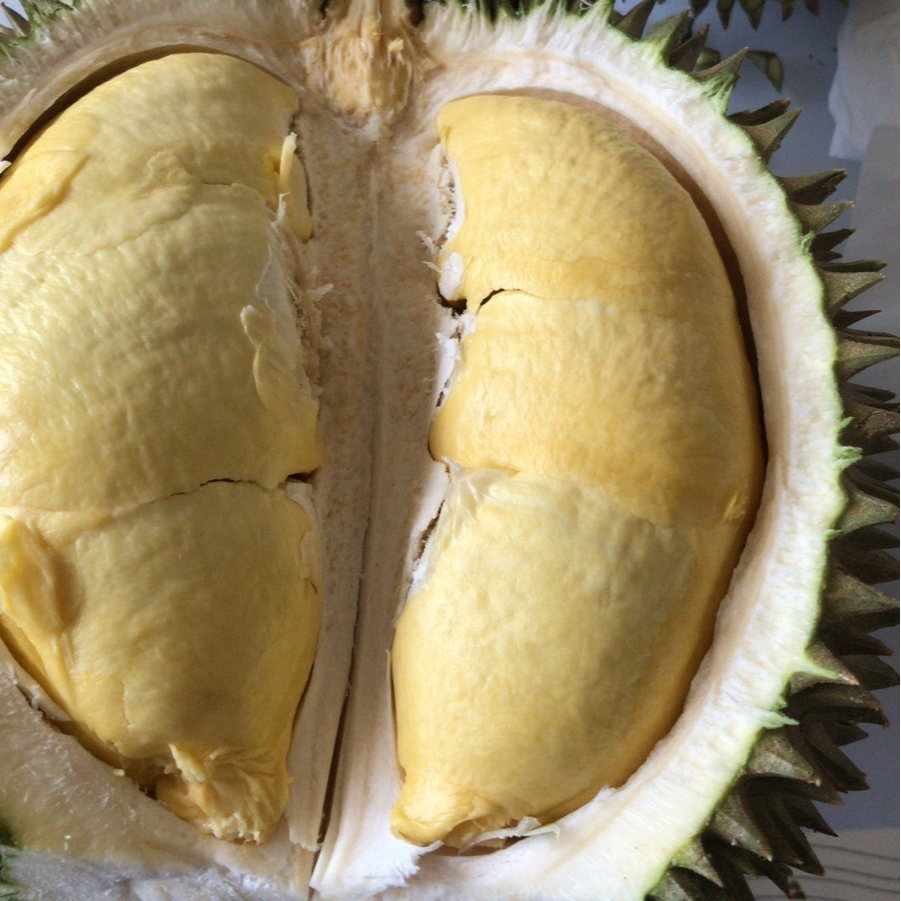 大川【一物一拍】泰国空运A级长柄鲜榴莲 核小肉多软糯2斤起 顺丰