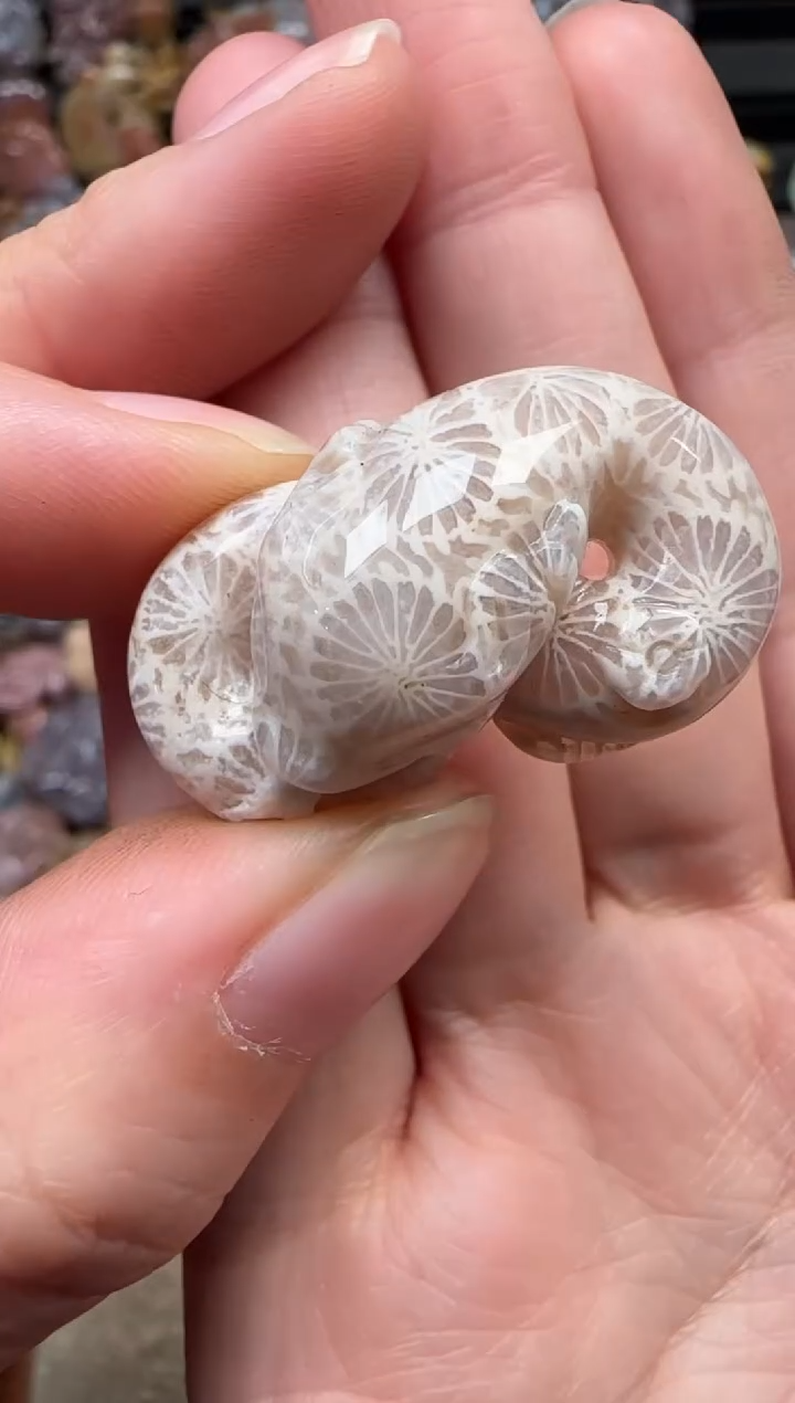 颈饰未镶嵌硅化珊瑚（珊瑚玉）632