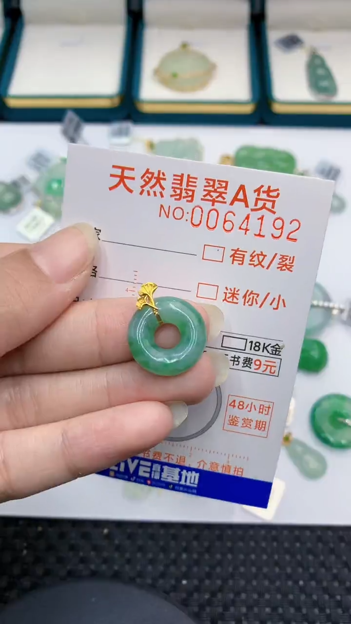 【闪购商品】翡翠颈饰18K金镶嵌            8
