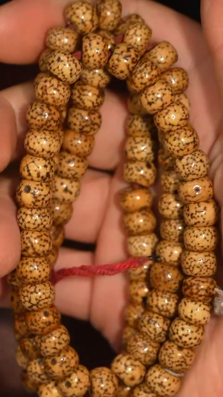 冲赛康胡子哥，藏传念珠179