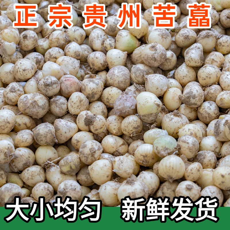 贵州新鲜小蒜头小苦藠头苦茭小蒜农家小根蒜野葱头非干货现挖带泥