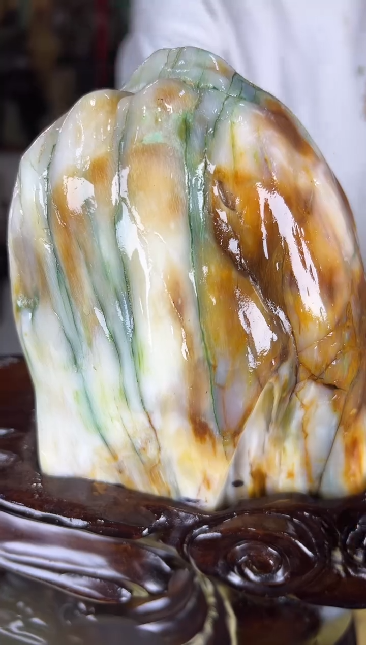 未镶嵌珠宝奇石硅化玉缅甸天然树化玉精品居家摆件