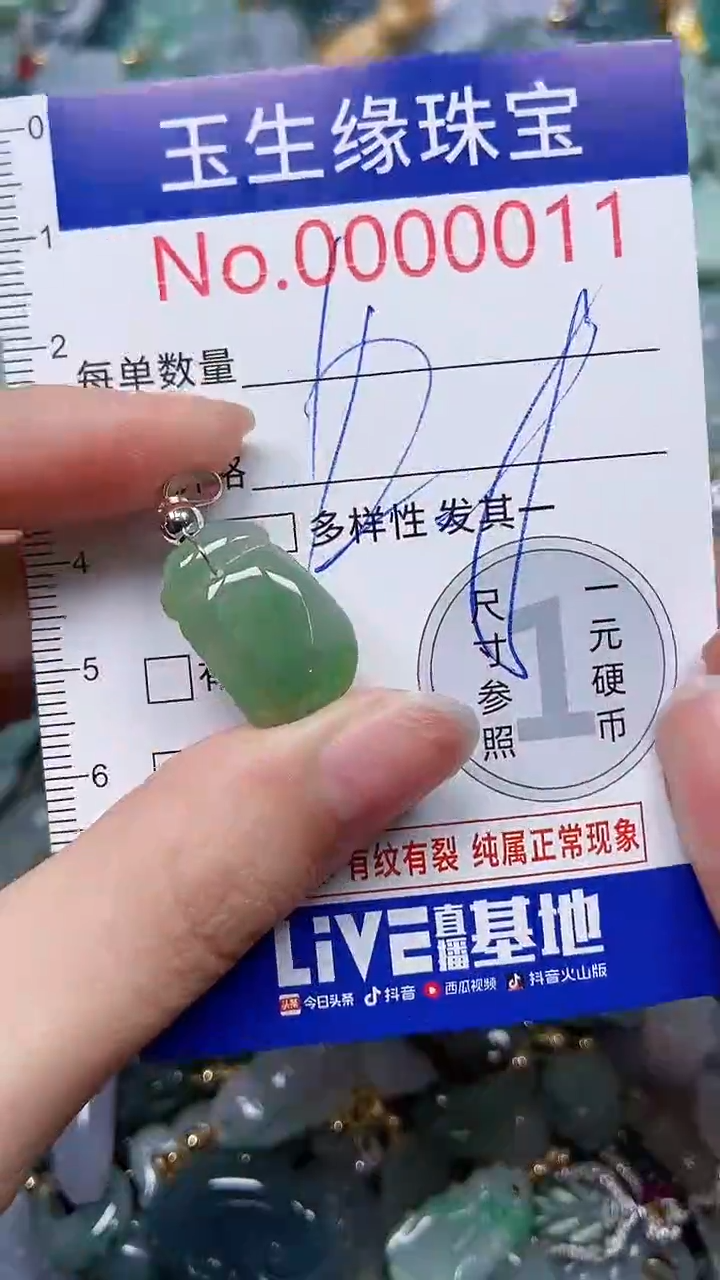 【闪购商品】翡翠颈饰未镶嵌闪购00000011