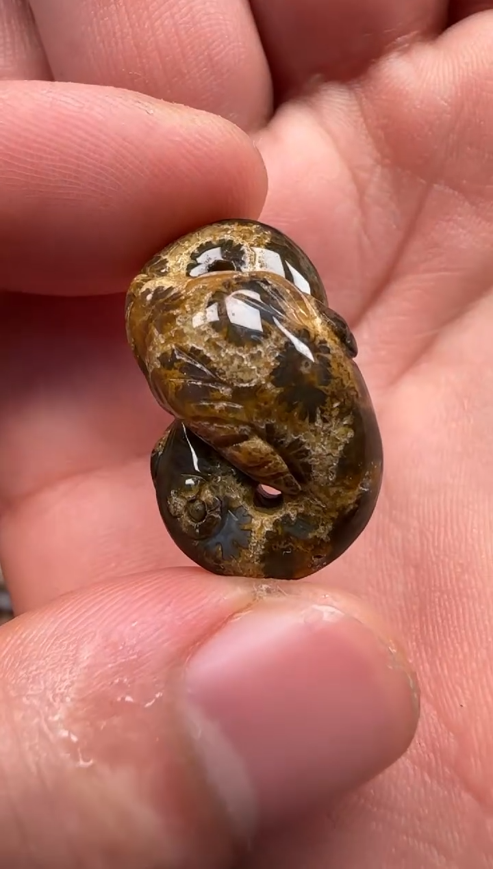 【闪购商品】硅化珊瑚（珊瑚玉）颈饰未镶嵌138