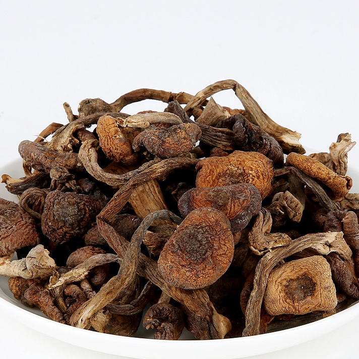 东北长白特产山精选榛蘑干货小鸡炖蘑菇新货无根榛蘑东北蘑菇榛蘑