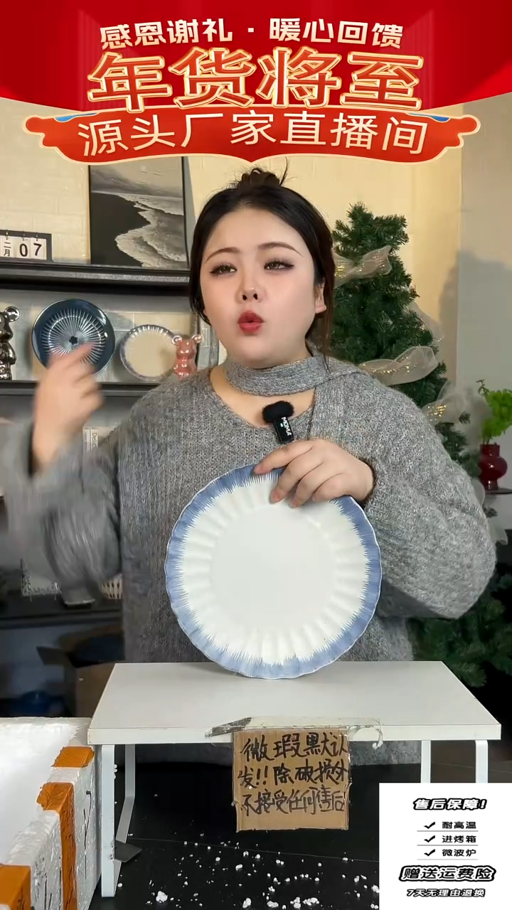 【闪购商品】瓷蓝边白盘-10.5