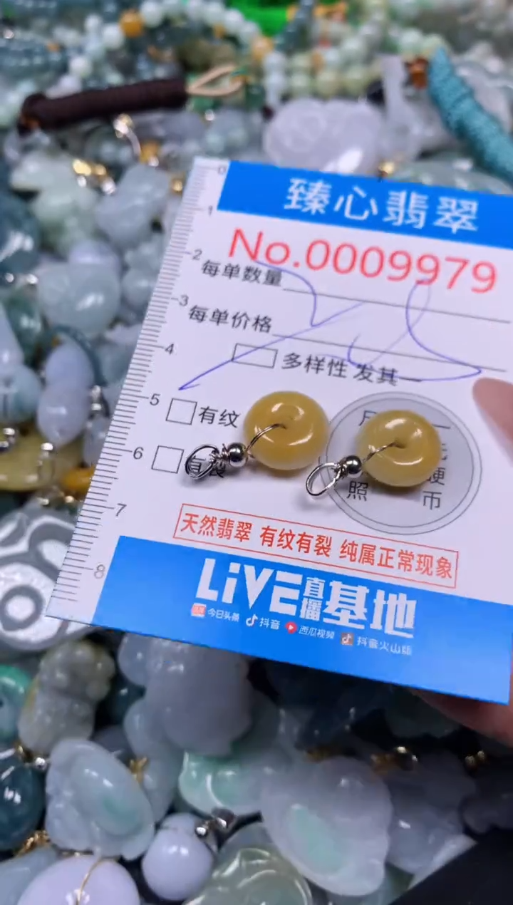 【闪购商品】翡翠颈饰未镶嵌含绳0009979