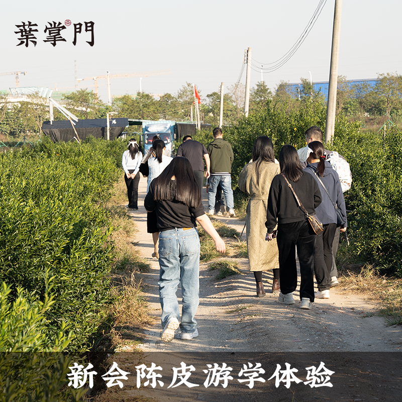 【新会陈皮】新会陈皮游学（3天2夜）