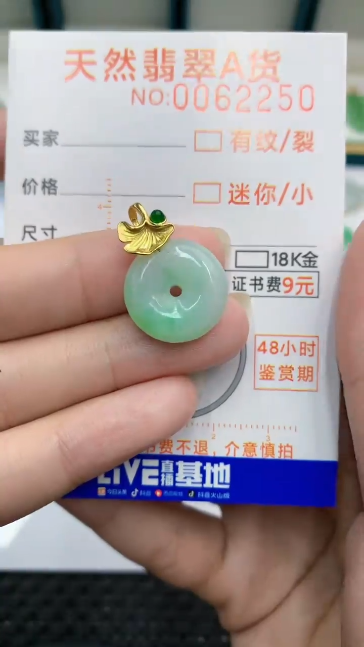 【闪购商品】翡翠颈饰银S925镶嵌            8