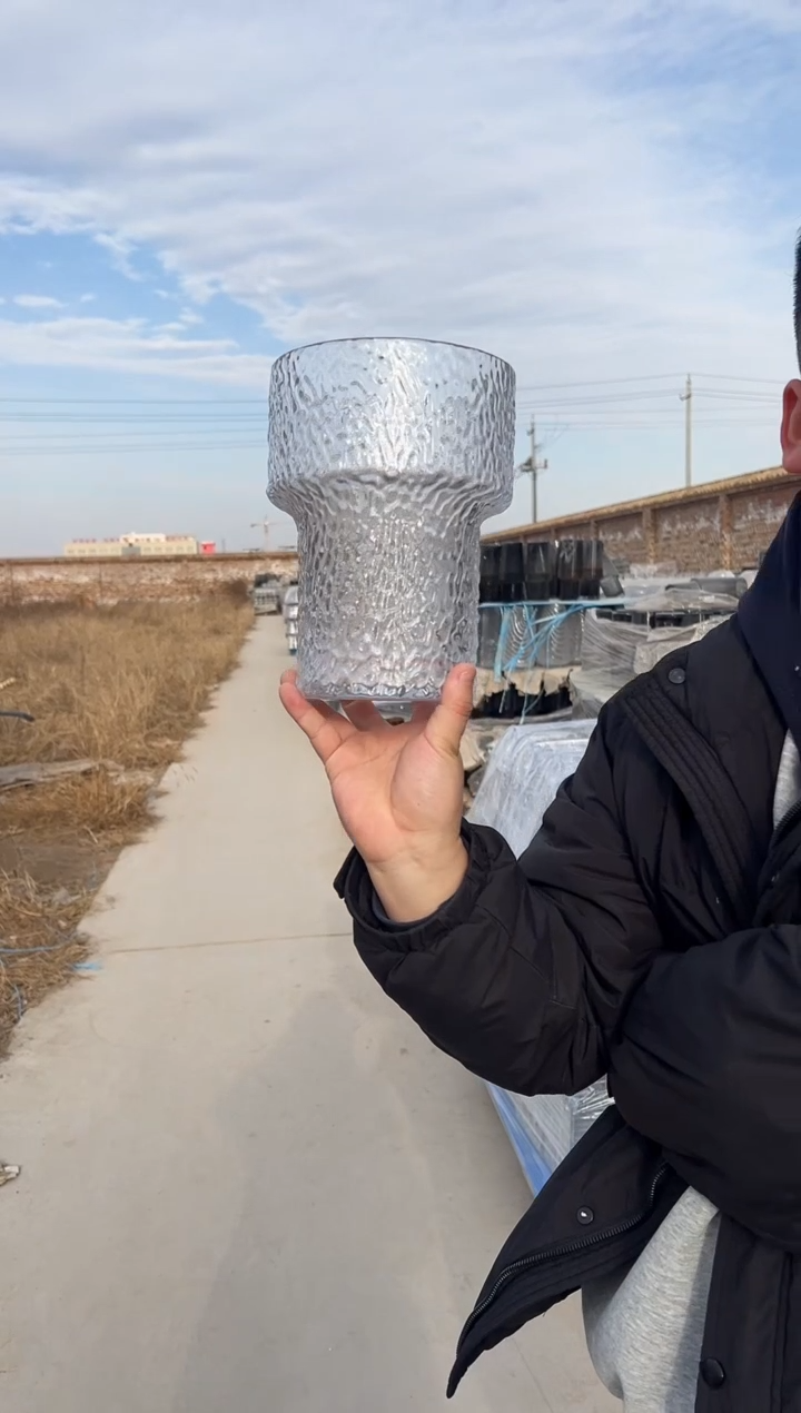 水养鲜花干花插花客厅装饰品