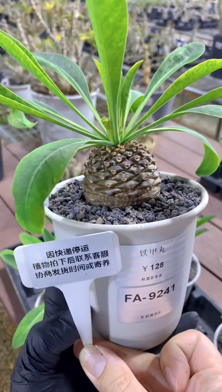 【闪购商品】铁甲丸FA-9241