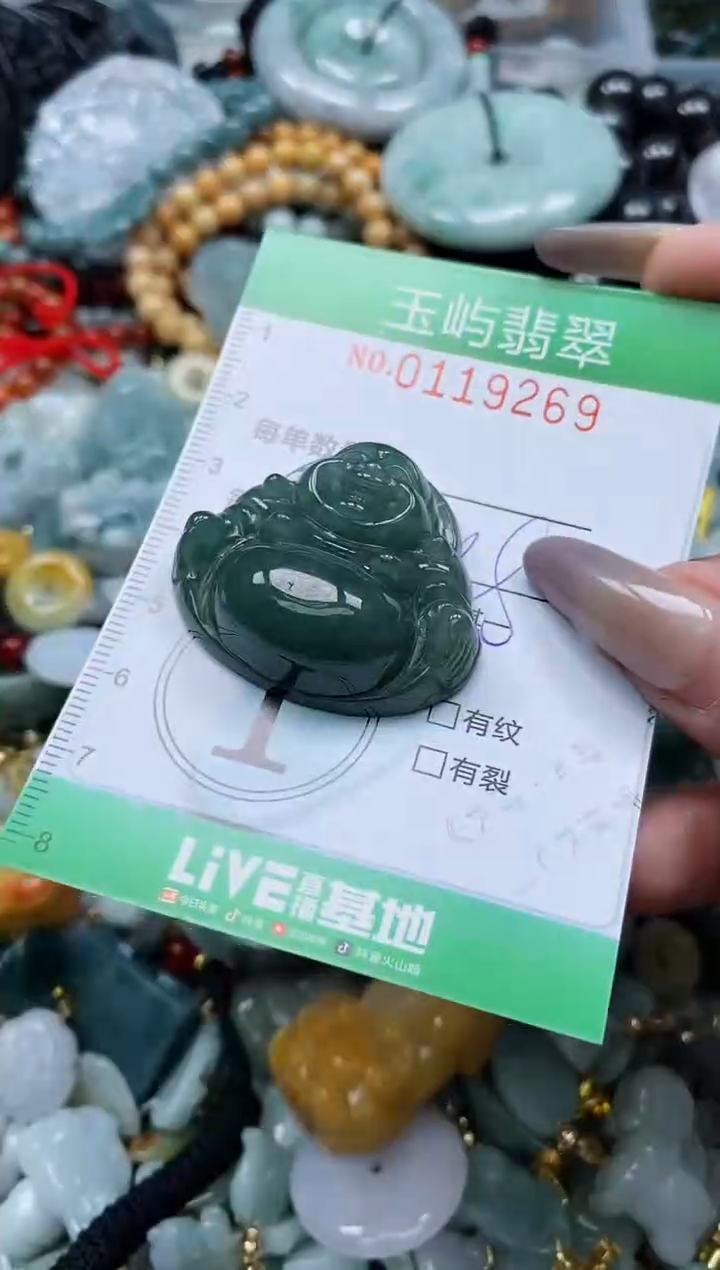 翡翠未镶嵌颈饰闪购0119269