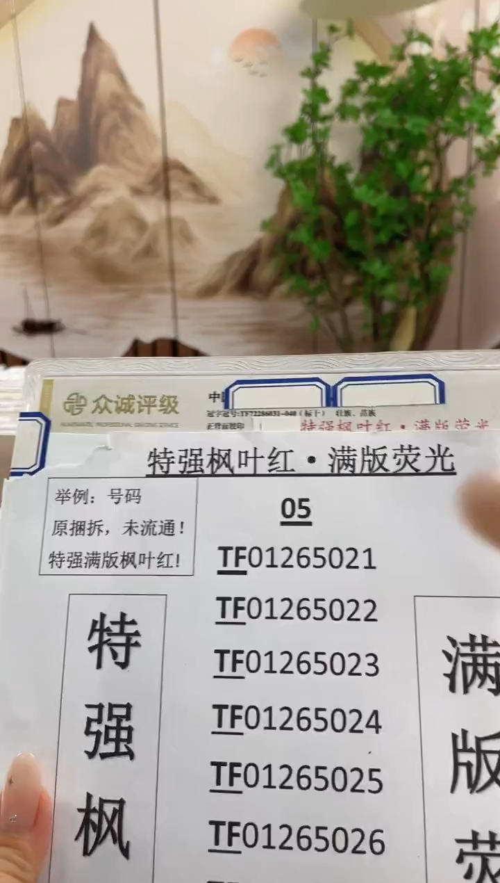 05【特强枫叶红 满版荧光】标十