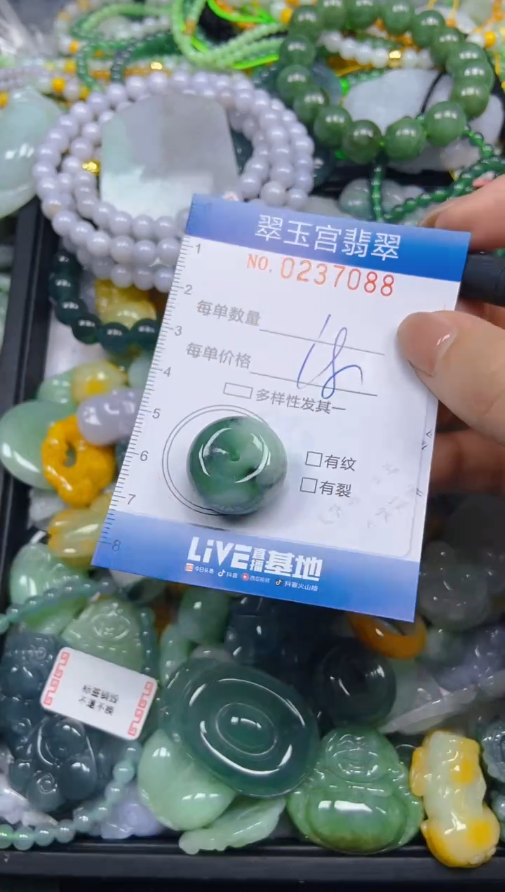 颈饰未镶嵌翡翠闪购C0237088