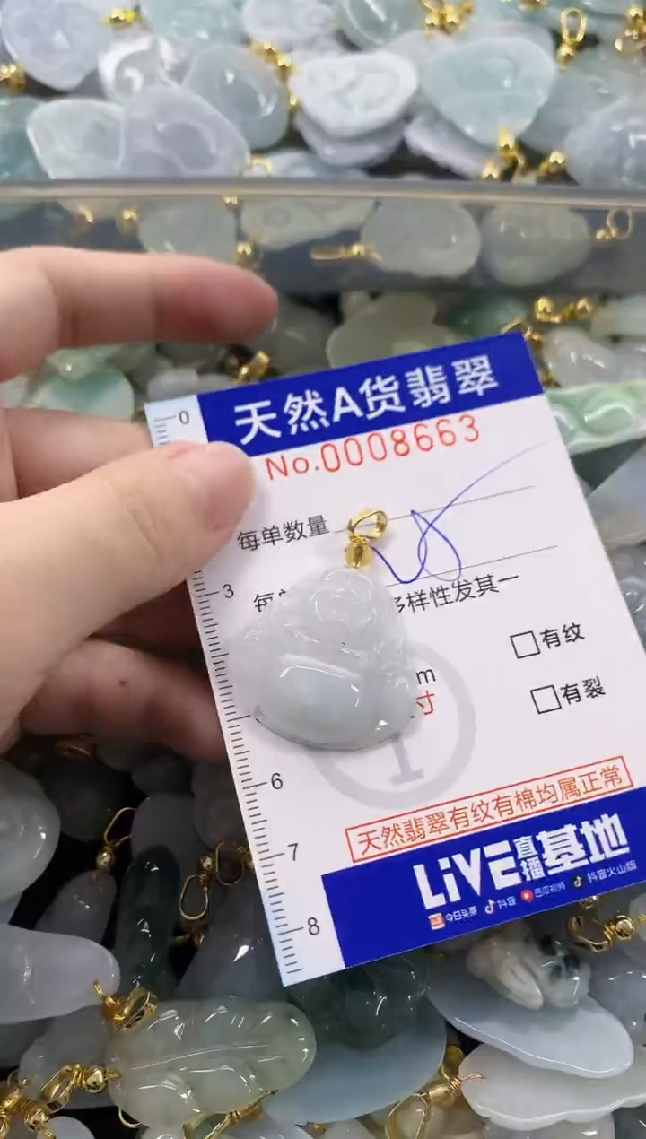 颈饰未镶嵌翡翠天然A货翡翠