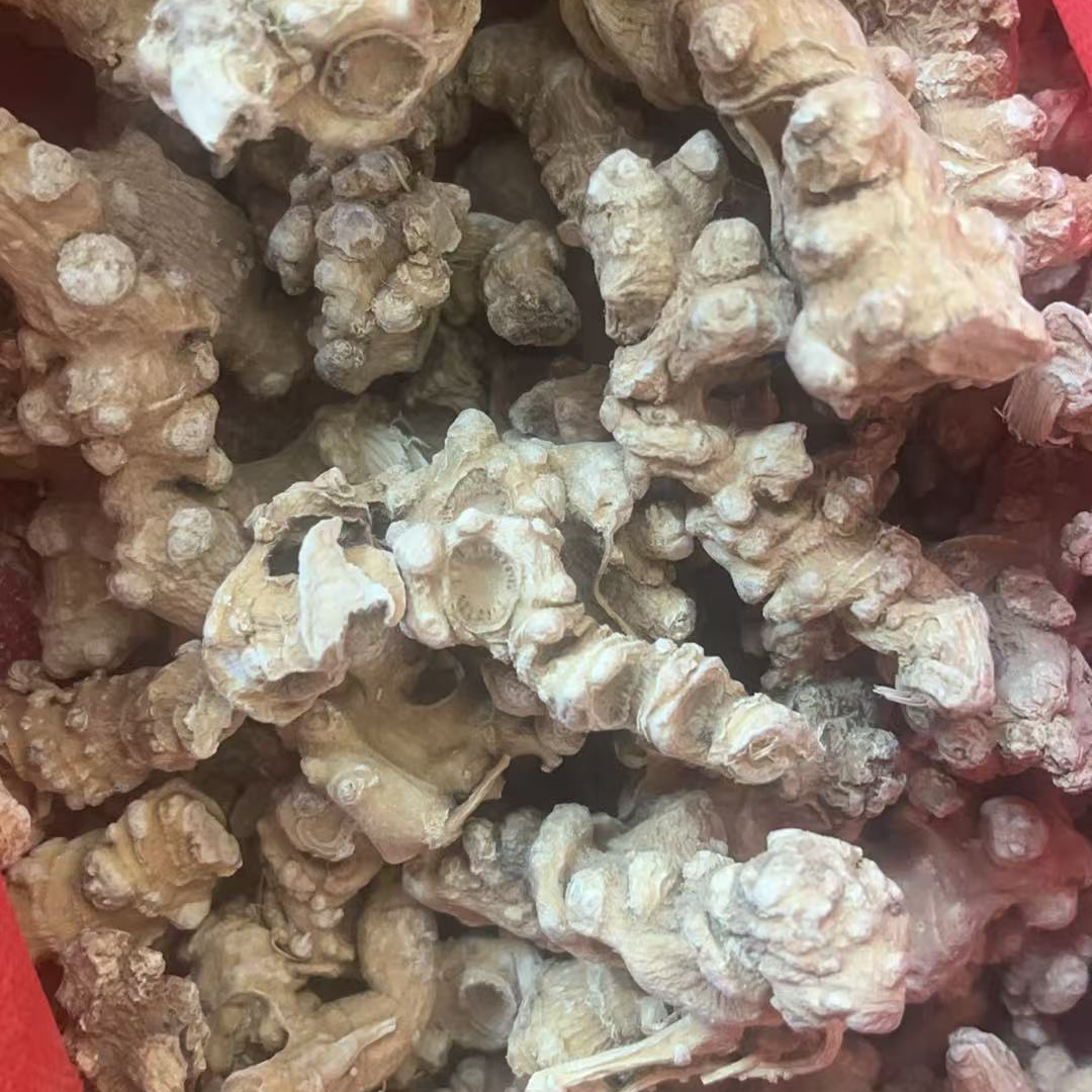 【卓玛山货】枸杞 林下天王参 