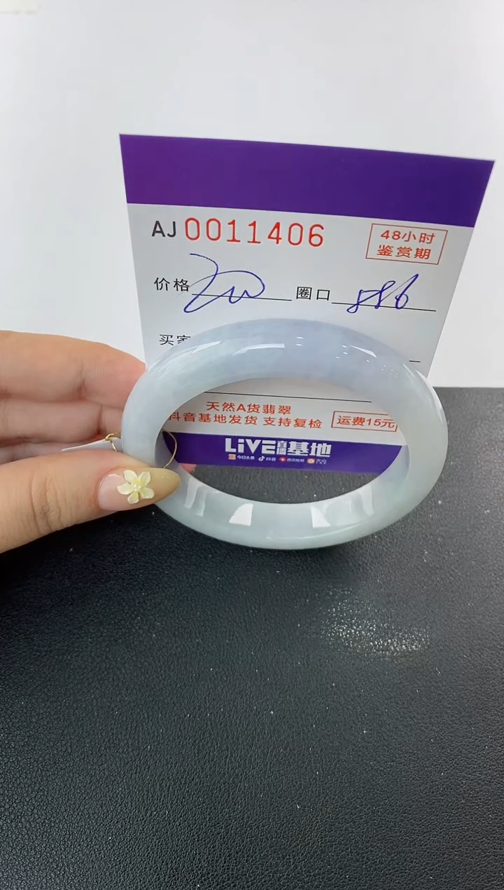 未镶嵌手镯翡翠天然A货翡翠